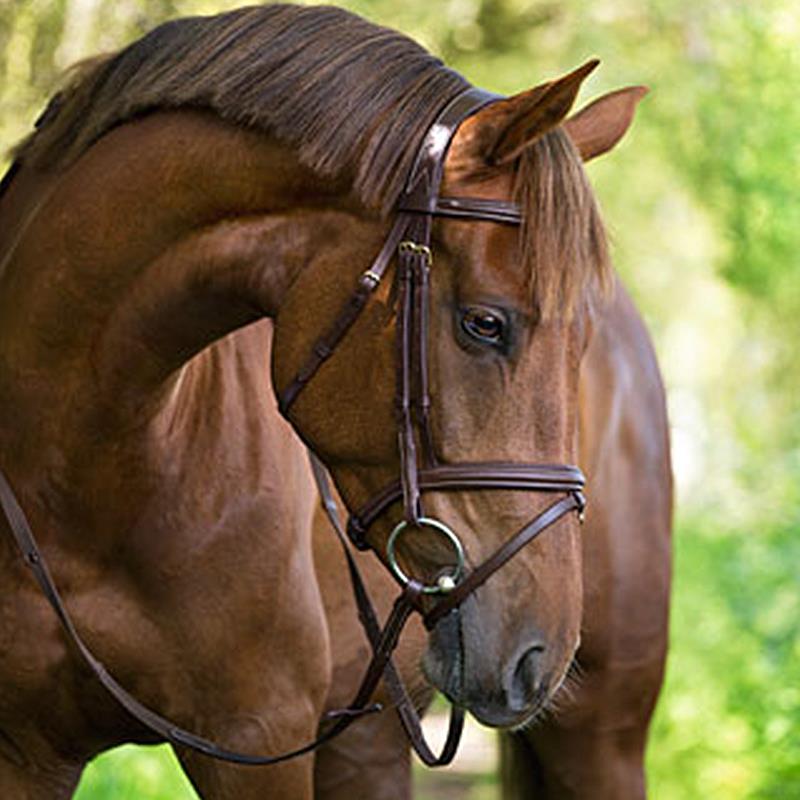Leather bridle, Classic brown, cob Pony