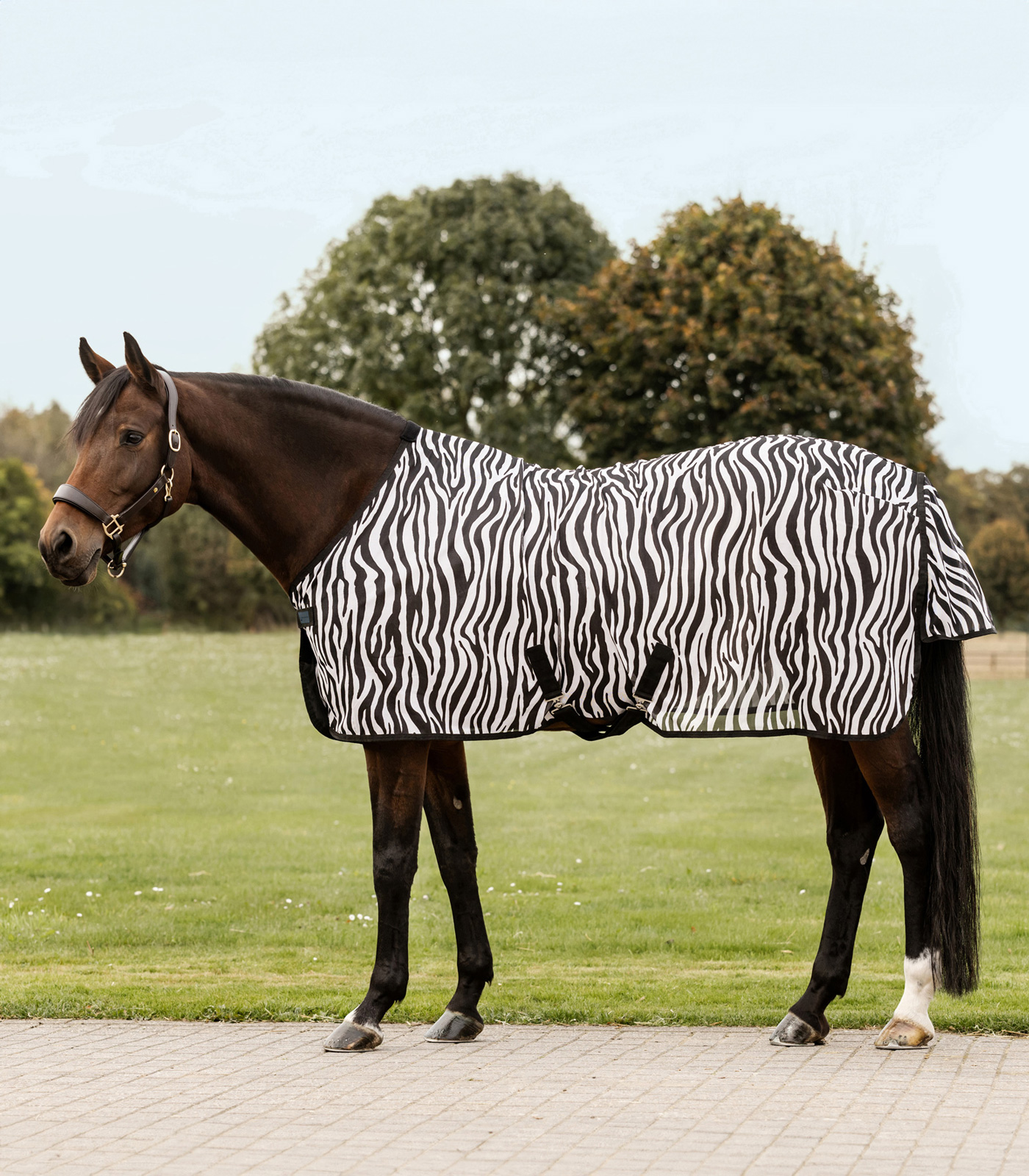 Waldhausen Zebra fly rug with cross straps, 125 cm