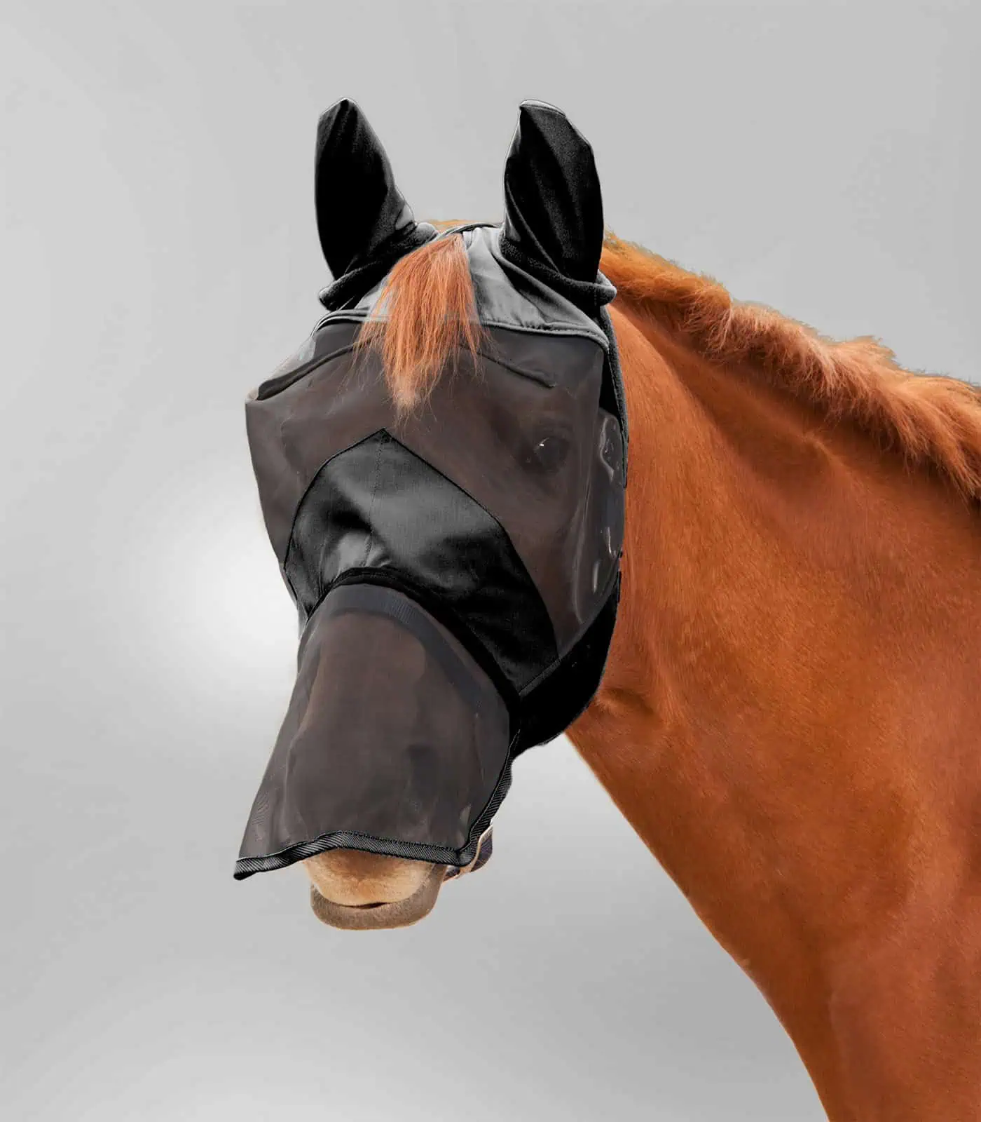 PREMIUM fly mask with ear and nose protection black Pony
