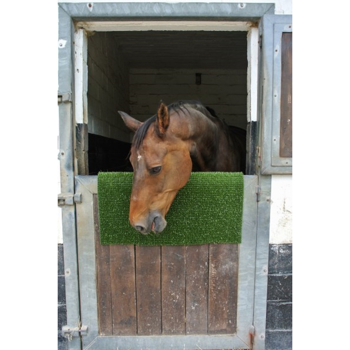 Scratching Mat for Horses ScratchPad Green 40 x 60 cm