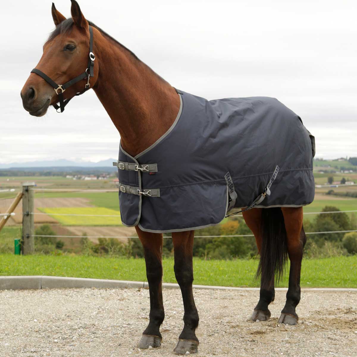 Covalliero Winter Blanket RugBe IceProtect navy 600D, 300g