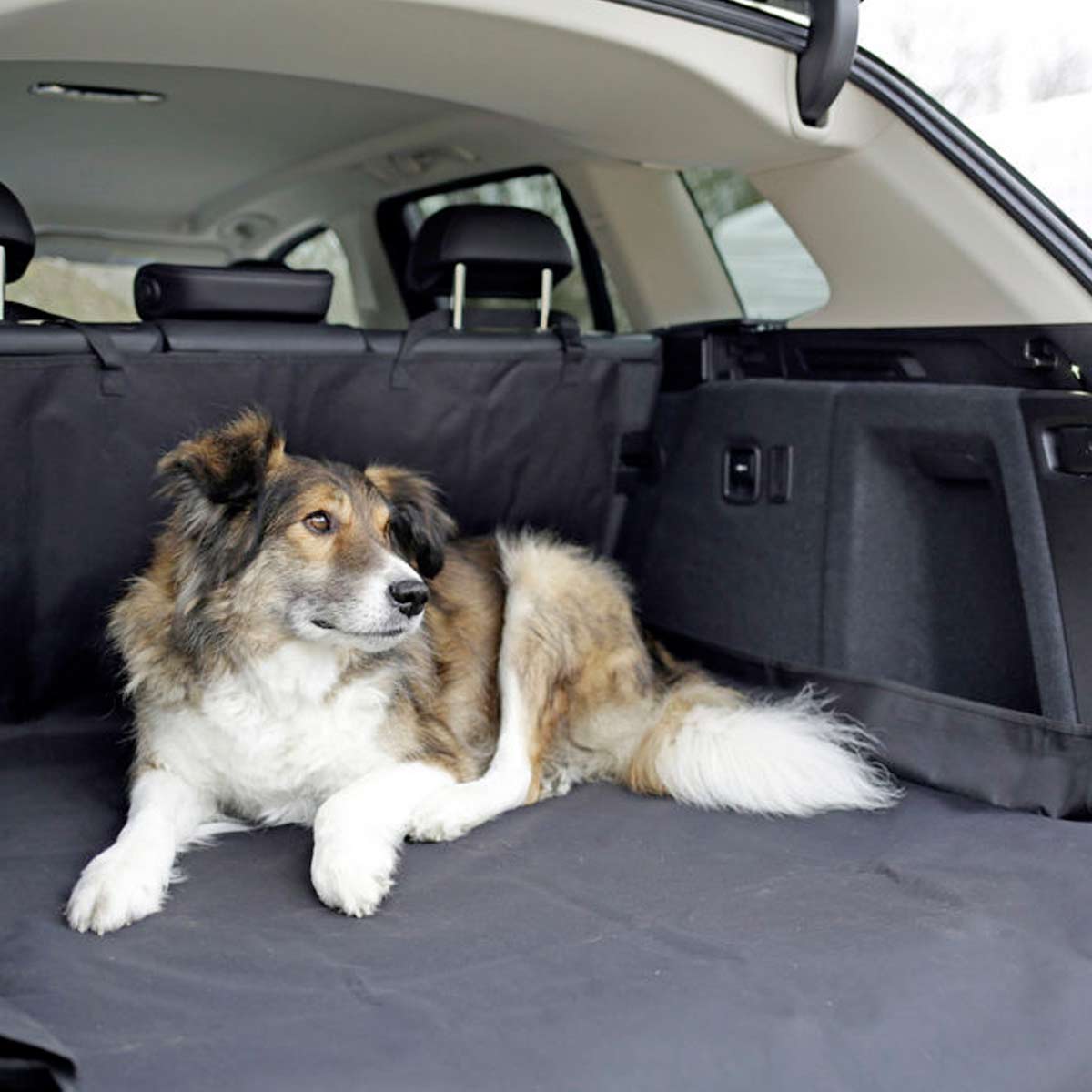 Dog Car Seat Cover ECONOMY