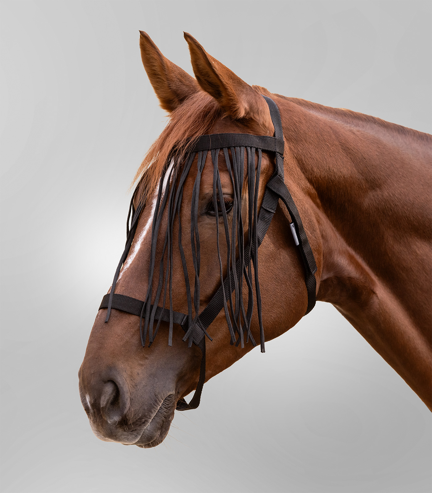 Waldhausen pasture halter with fly fringe black, COB