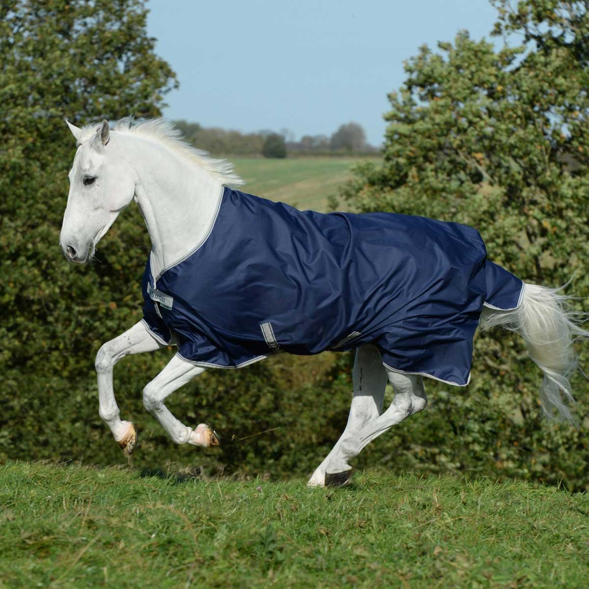 Bucas Freedom Turnout Horse Rug 300g