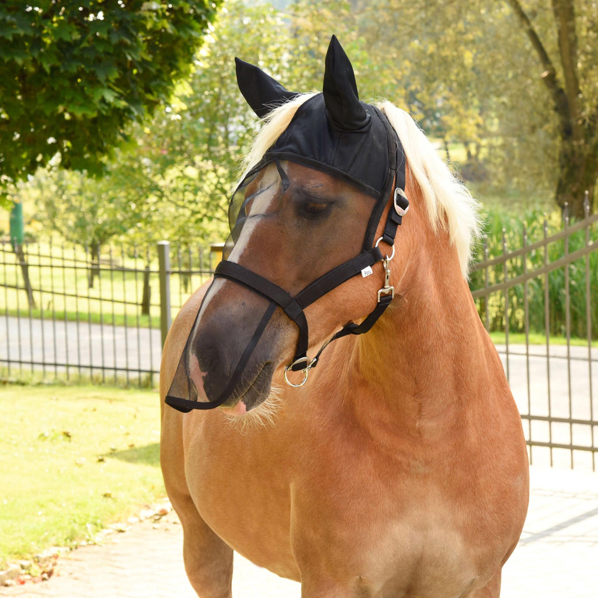 Halter with integrated Fly Mask, Cob full