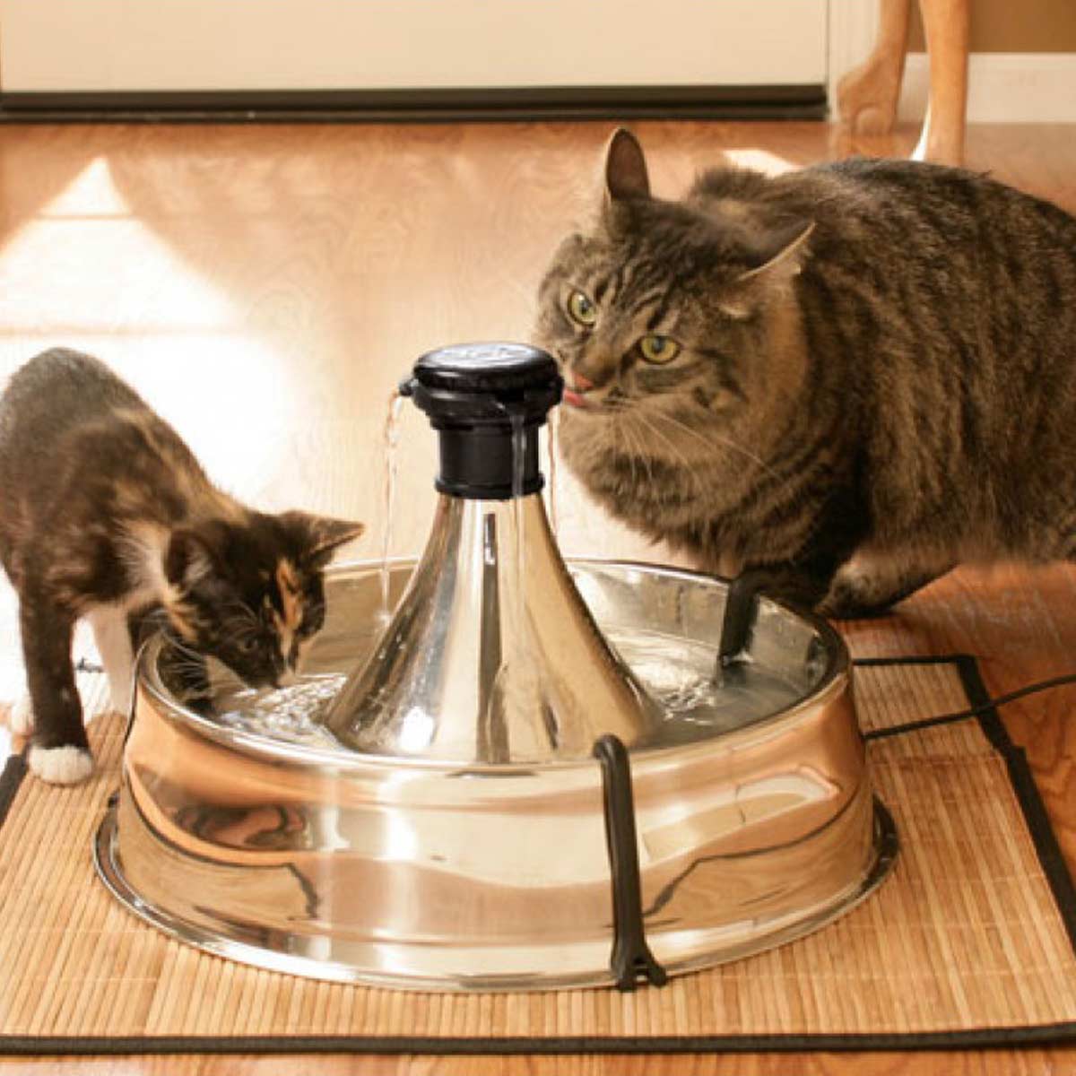 PetSafe Drinkwell Drinking Fountain stainless steel 360 for cats and dogs