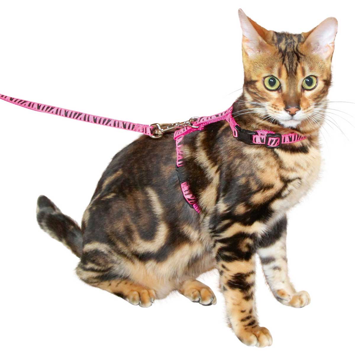Cat Harness with Leash 120cm x 10mm, pink