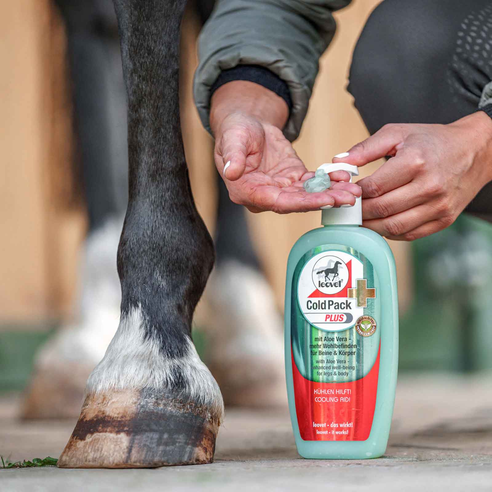 Leovet Cold Pack Plus Gel for Horses with Aloe Vera