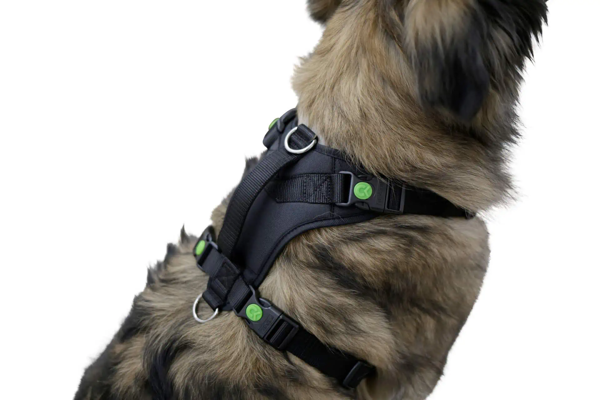 Dog Harness Pulsive, black, 36-50 cm, 46-60 cm