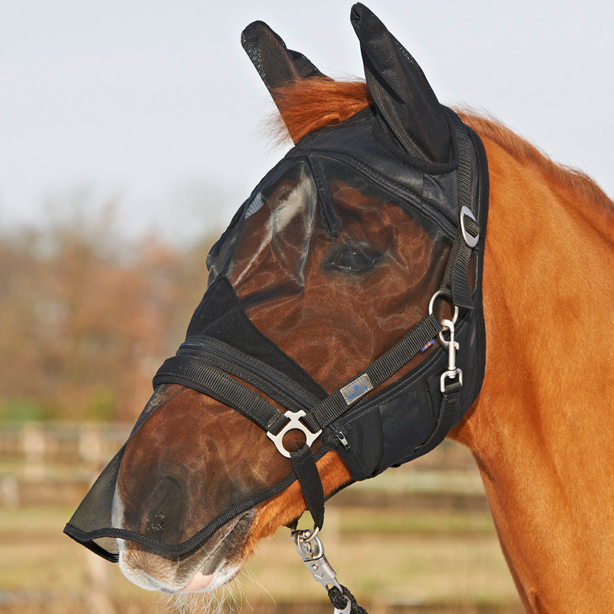 BUSSE Fly Mask FLY PROTECTOR Shetty