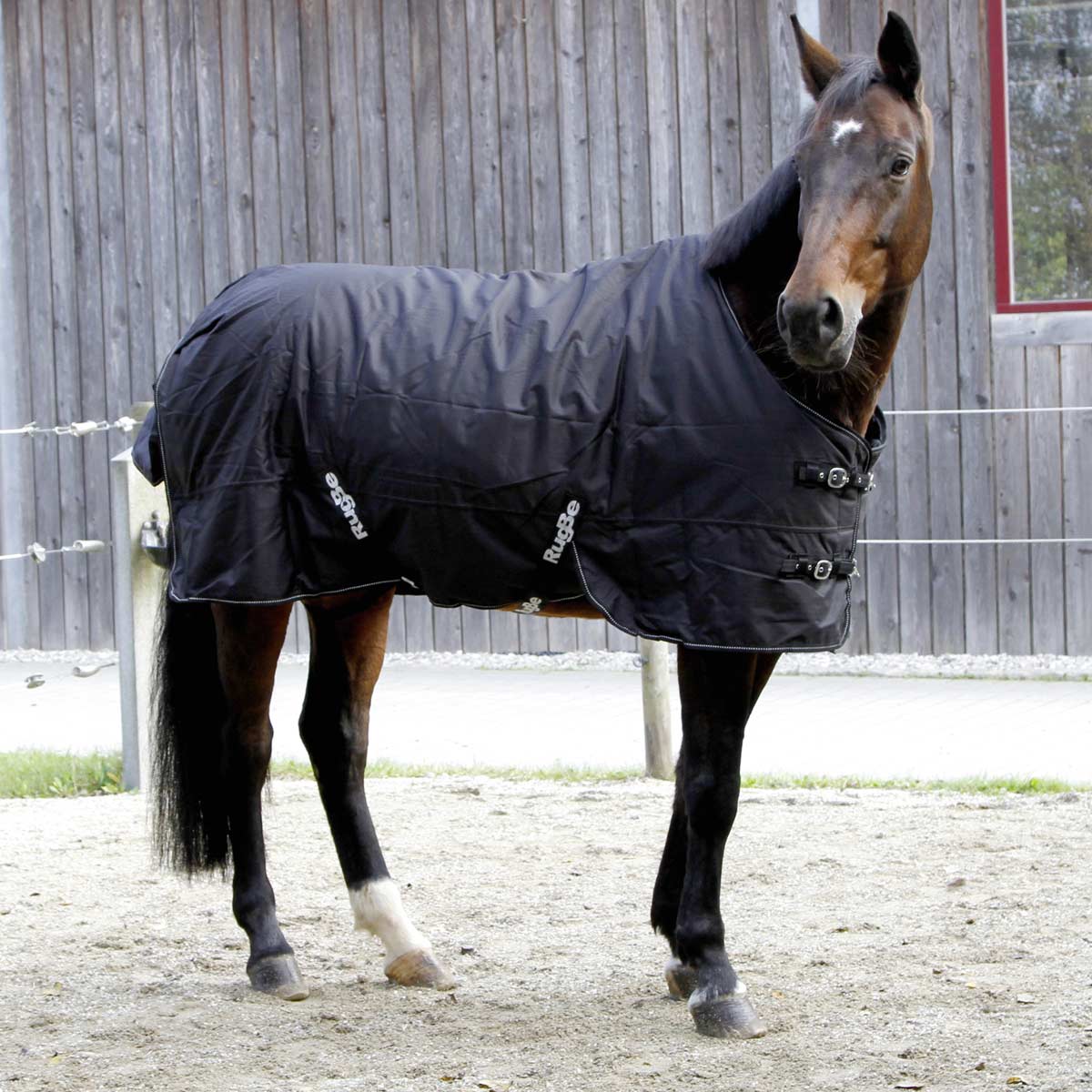 Covalliero RugBe Winter rug 600D, 200g 165