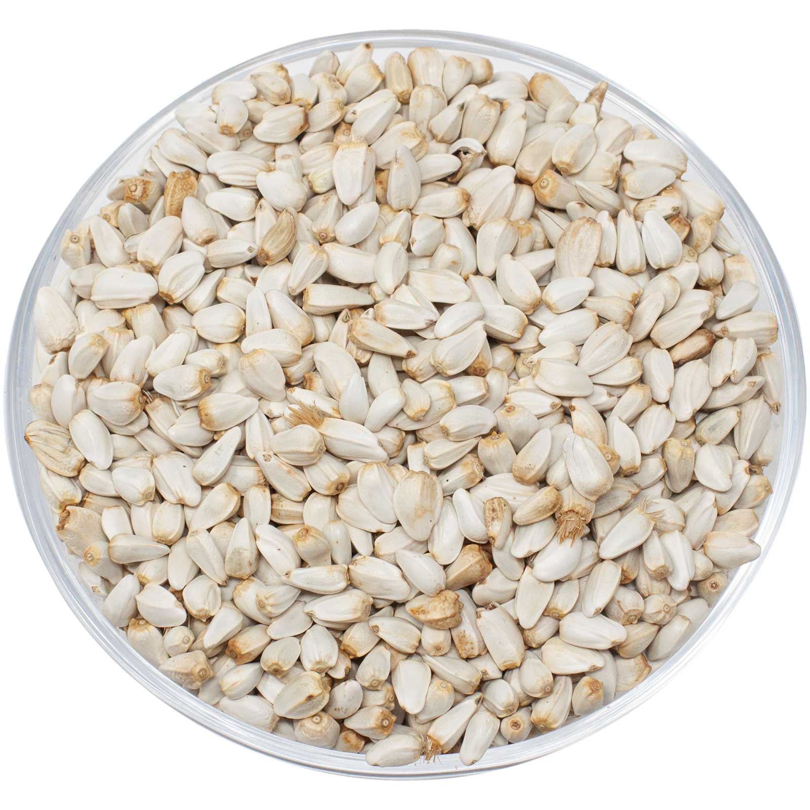 Leimüller Cardi Seed 1 kg