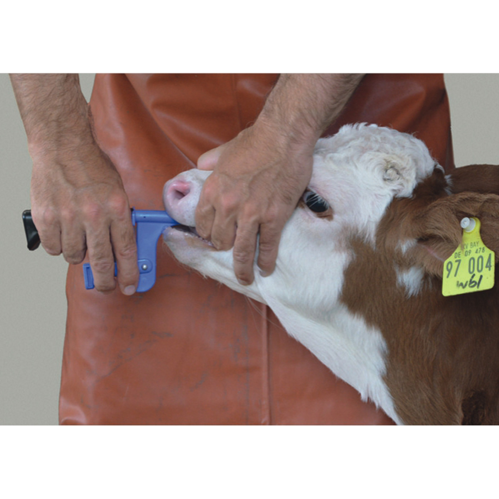 JUNIOR Tablet Feeder for Calves