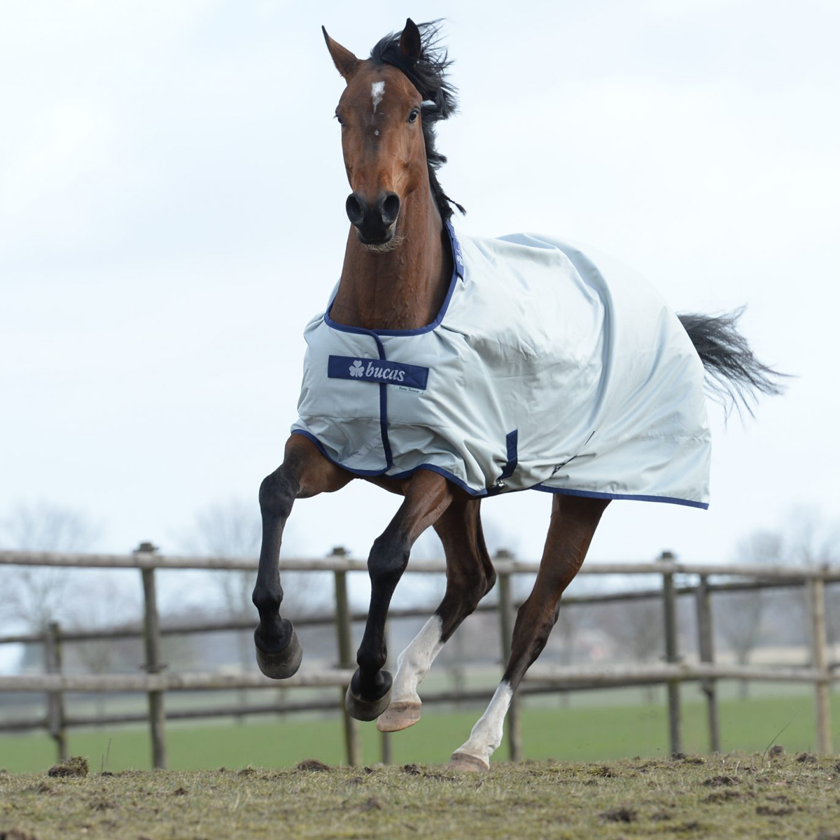 Bucas Power Turnout Horse Rug Extra 300g 120