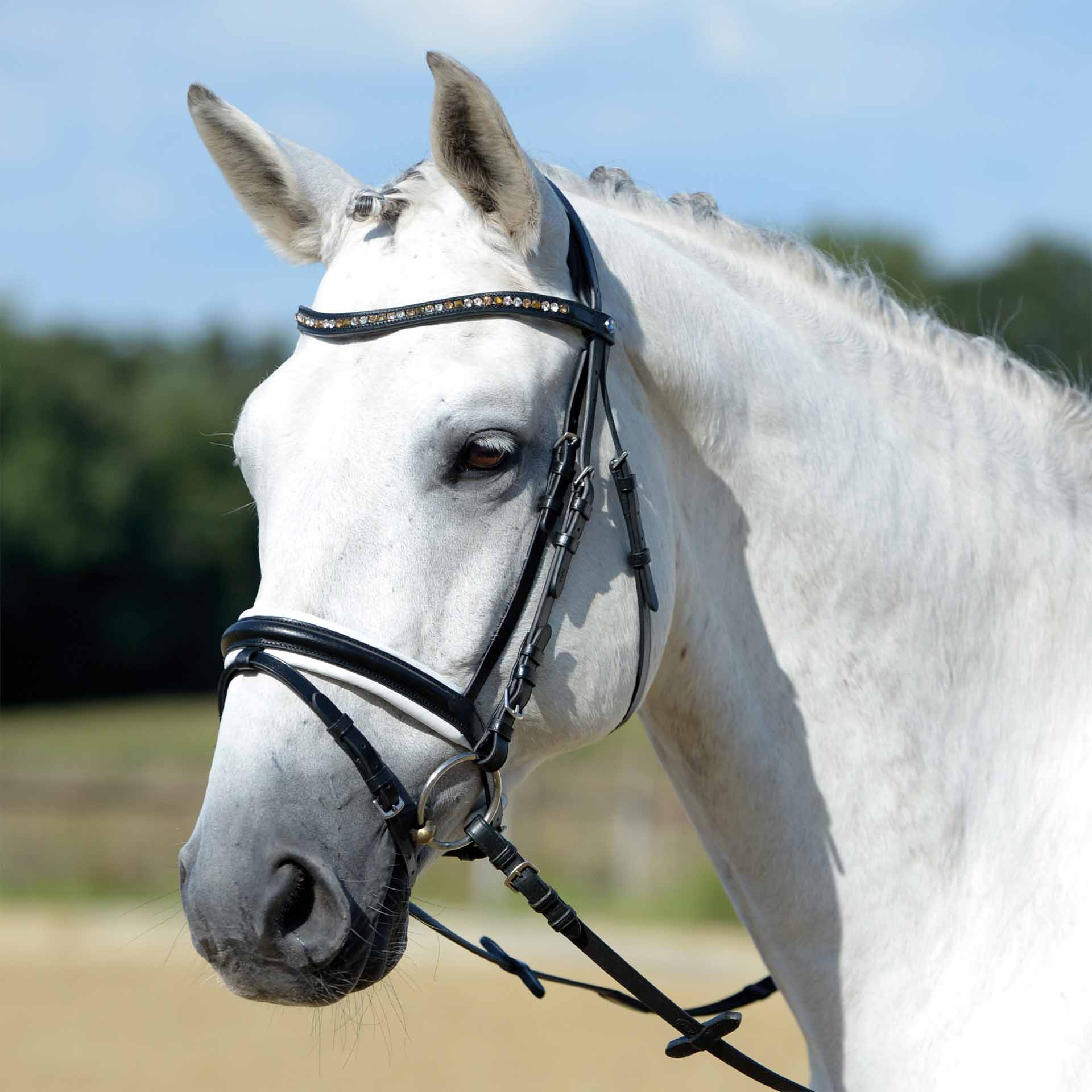 BUSSE Bridle COMFORT Pony black-and-white