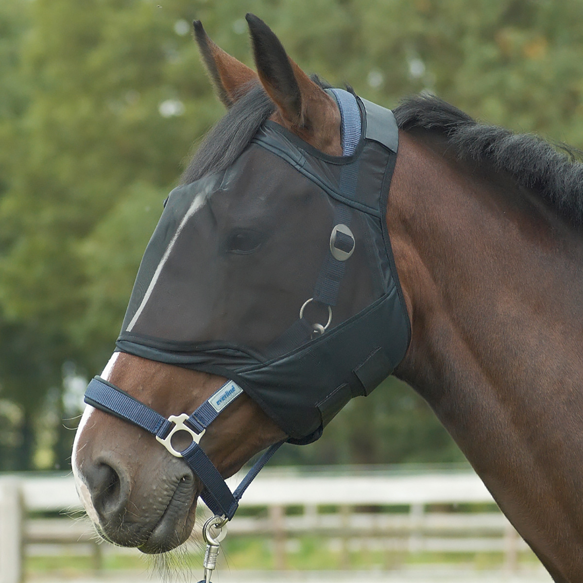 BUSSE Fly Mask FLY GUARD