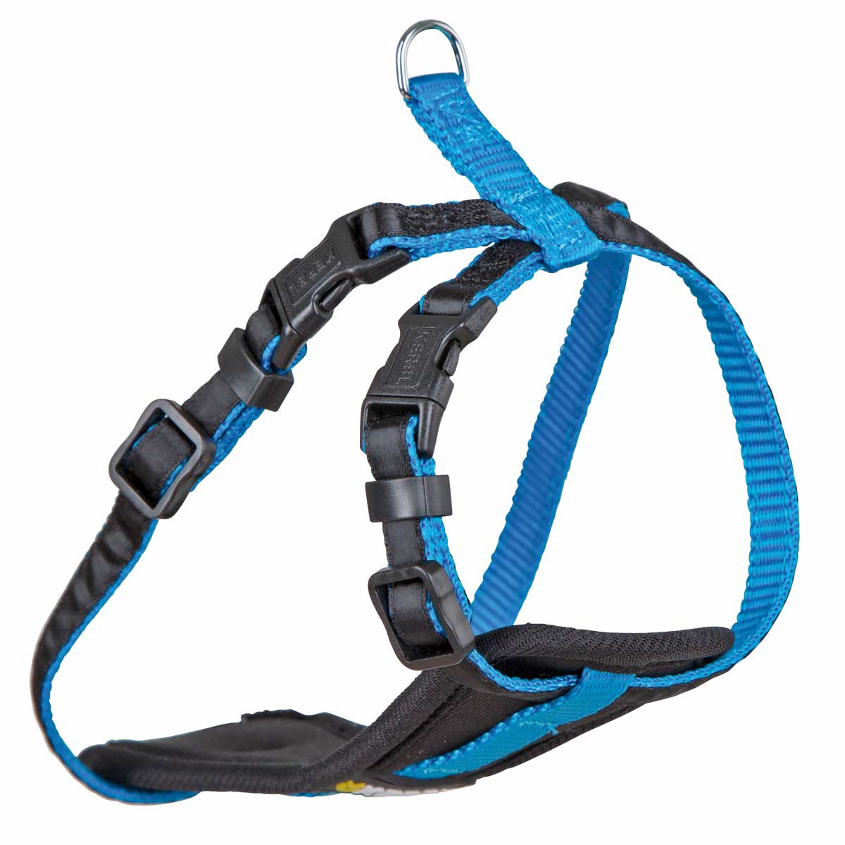Harness for Small Dogs S, neon blue