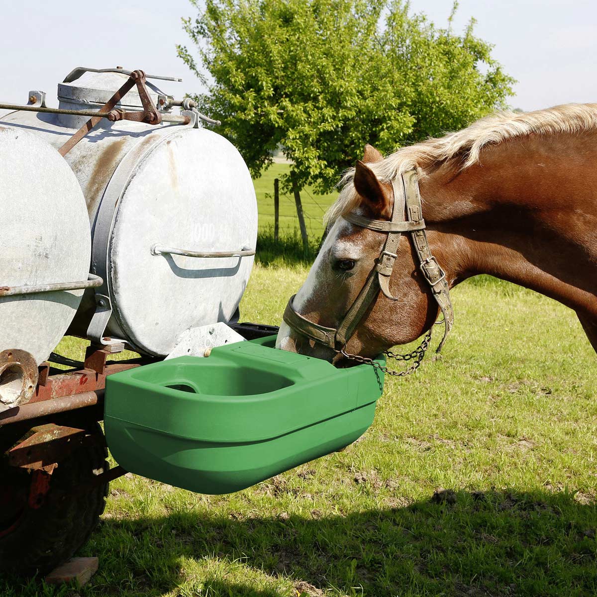 Double Float Drinking Bowl S60 for pasture attachments