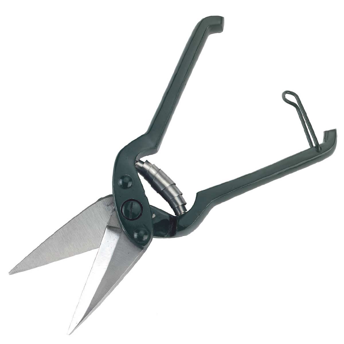 Claw shear with teeth for sheep