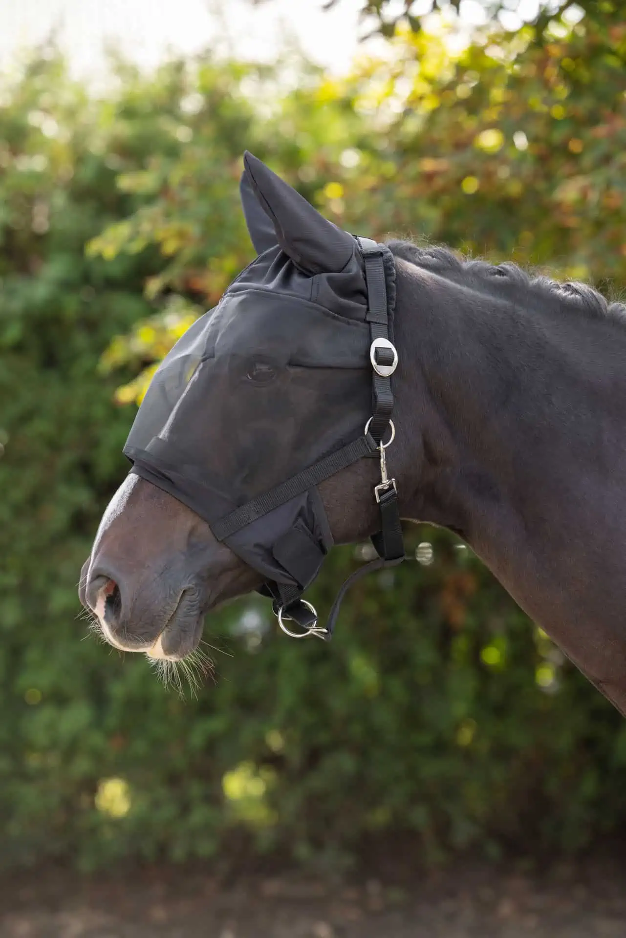 Halter with Integr. Fly Protection Mask, Pony