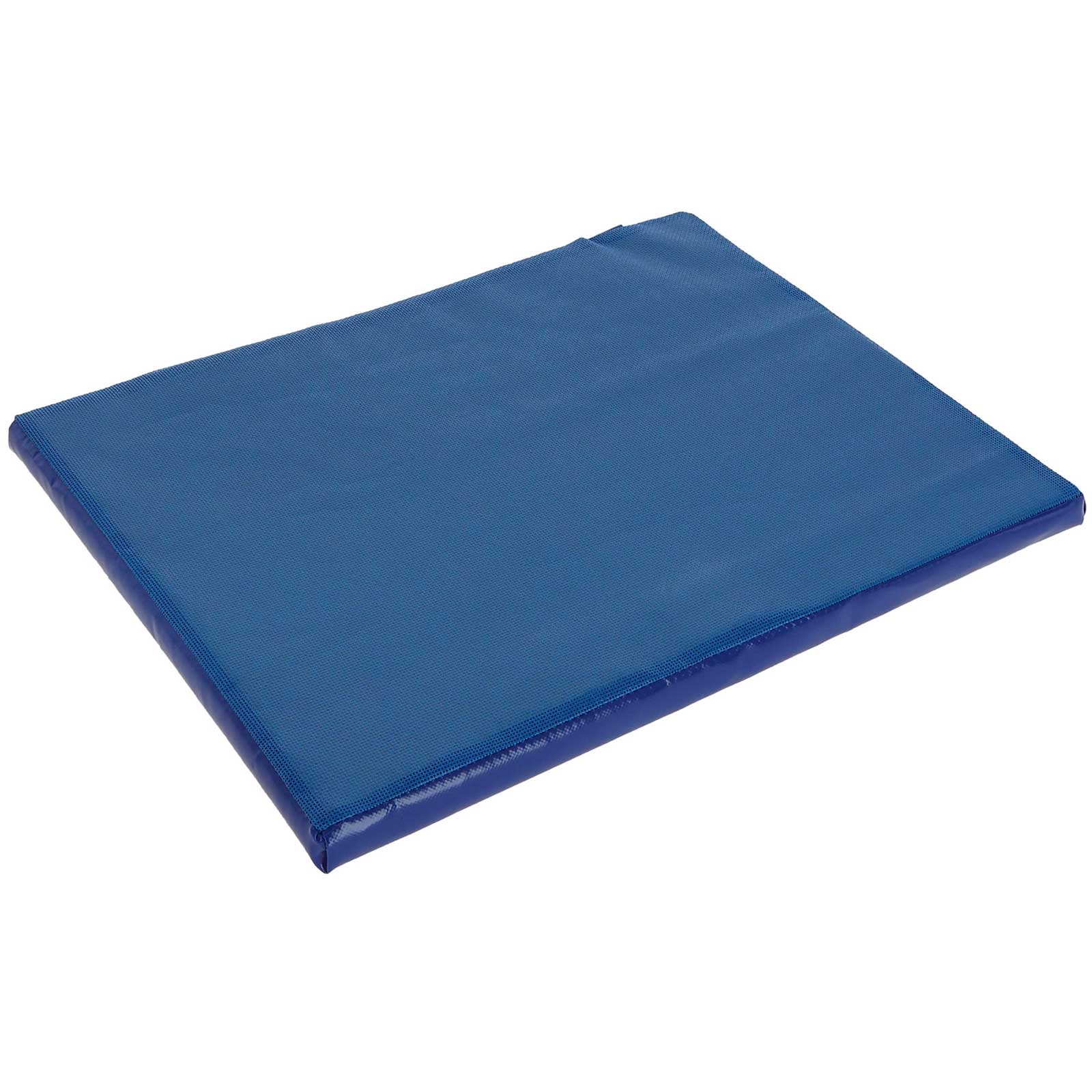 Disinfection mat for shoes