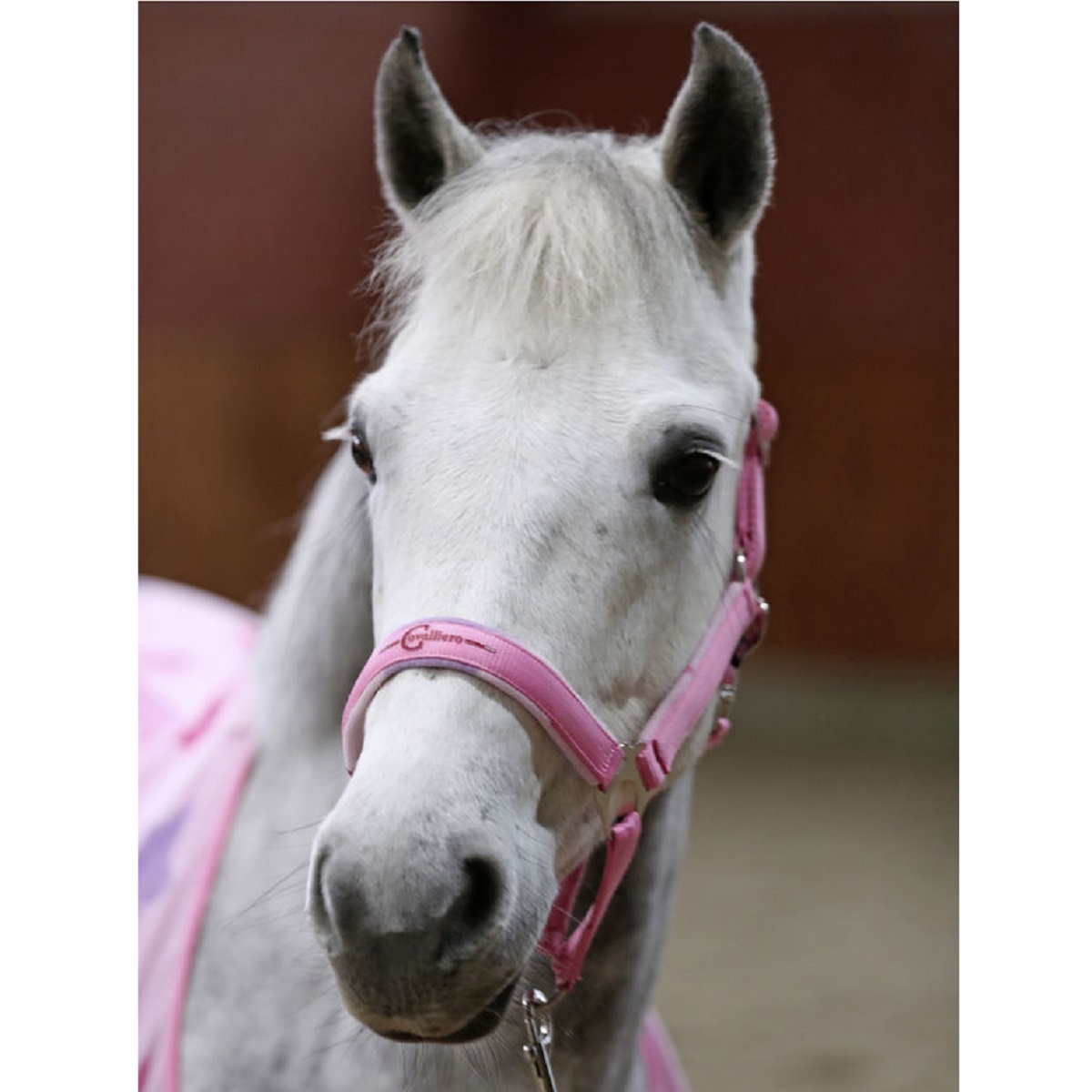 Headcollar-Set Lilli Starlight with Lead Rope Pony