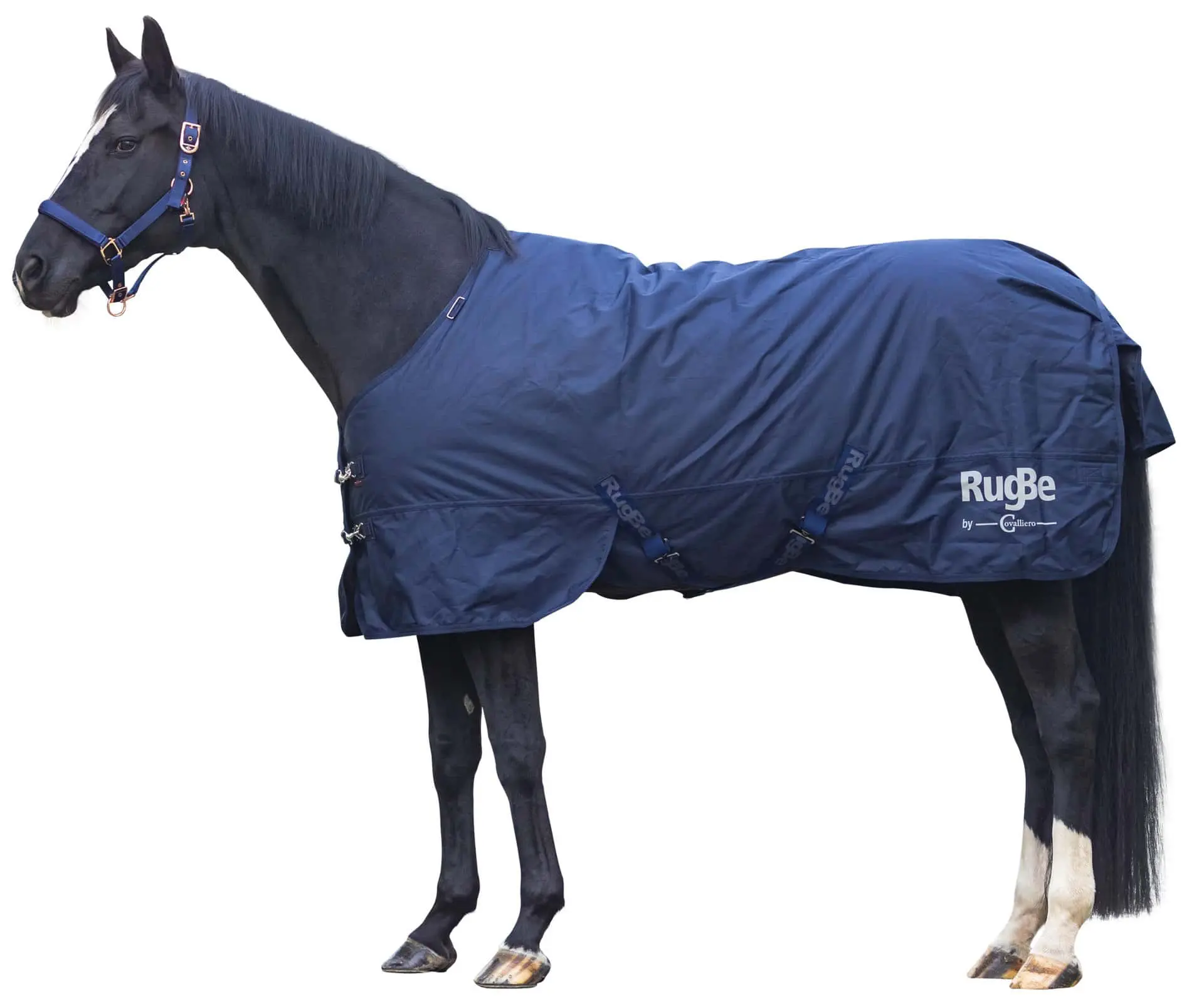Winter horse blanket RugBe IceProtect 200g