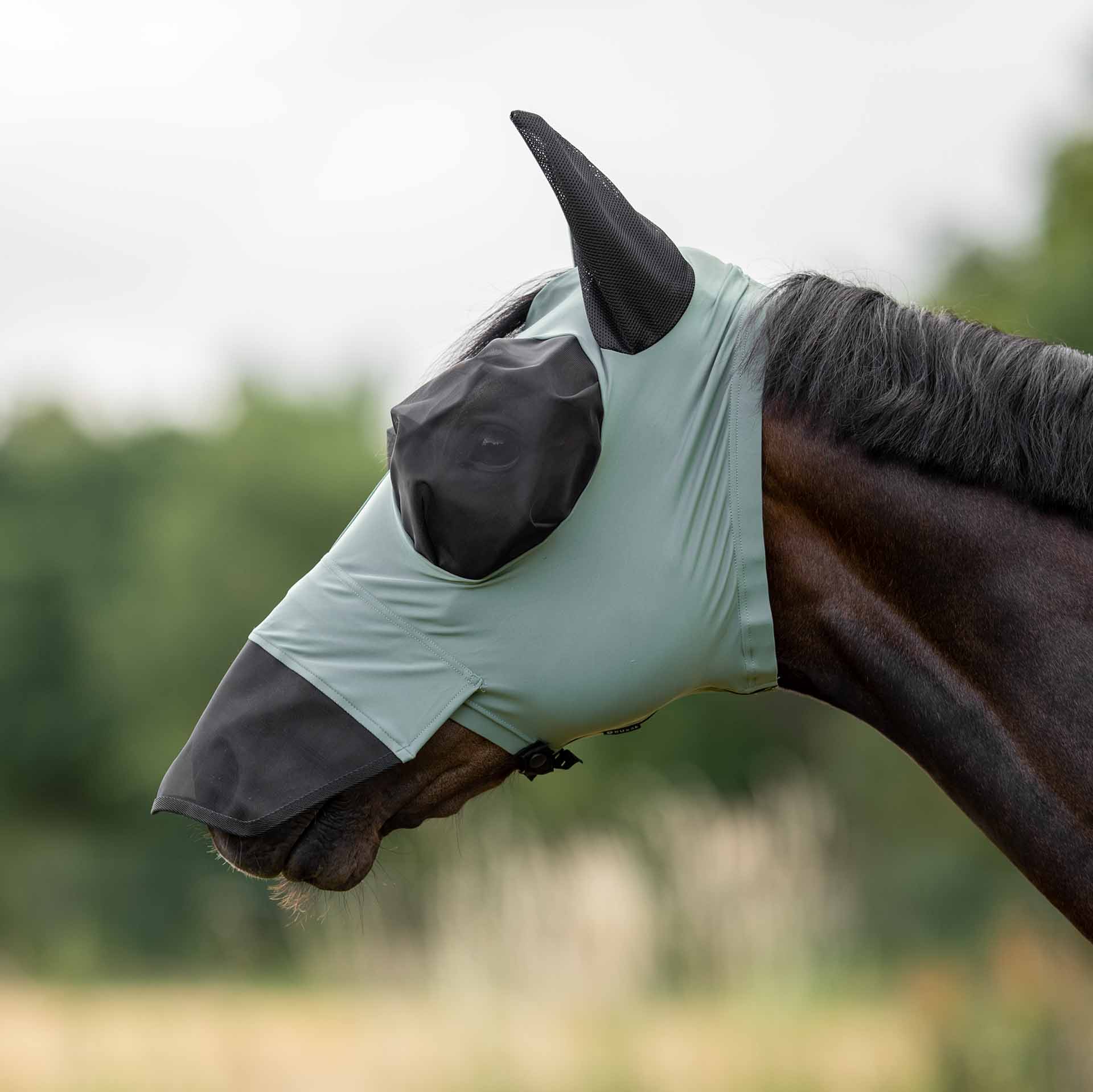 Di Alta Qualità In Pelle Premium Cavallo Briglia Con Brow Band Di Cristallo Prem
