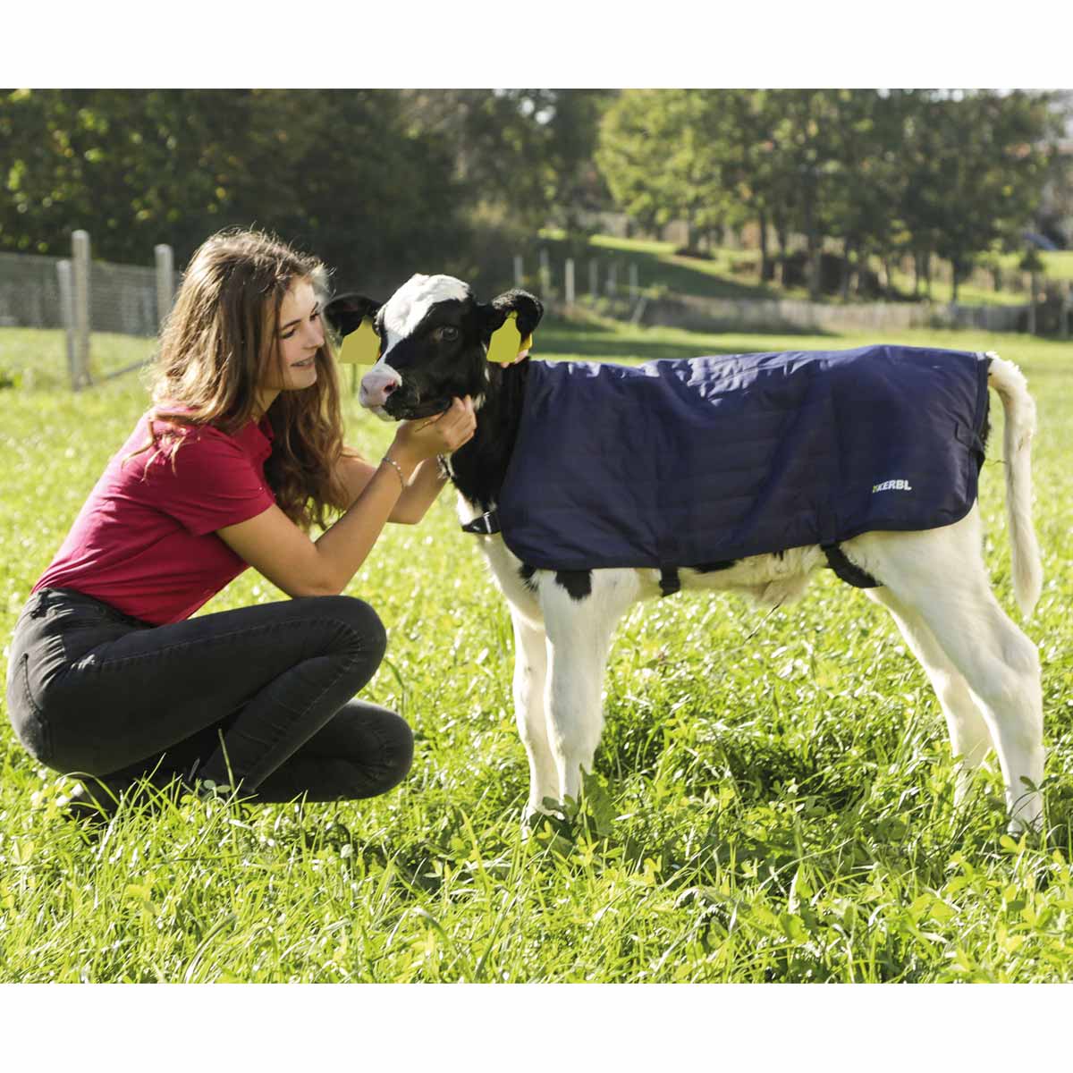 Calf Blanket EasyWear 80 cm