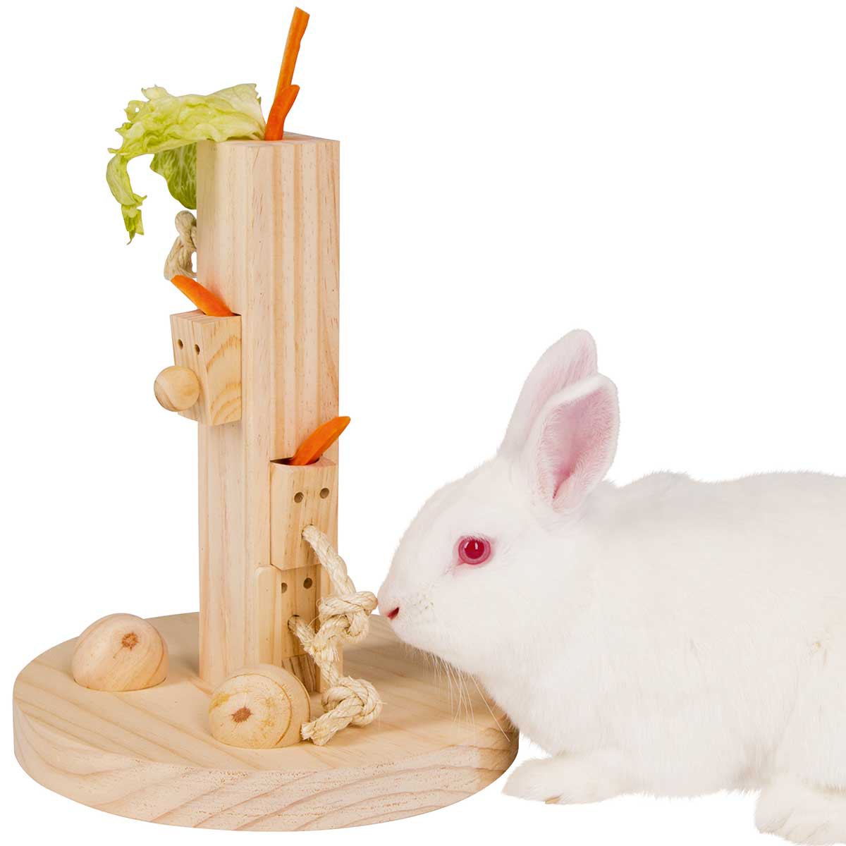 Thinking and Learning Toy Rodent Feedtree 25x25x30cm