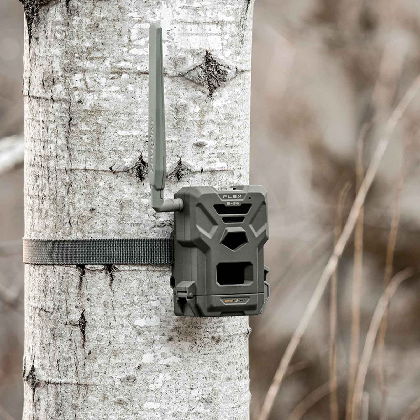 spypoint-flex-e-36-6.jpg?ts=1707376061