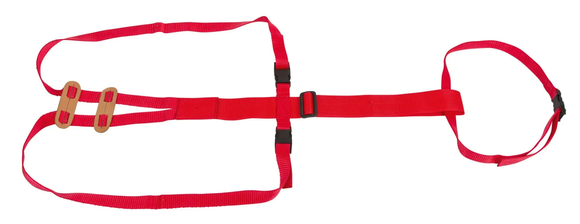 Prolaps Harness for sheep