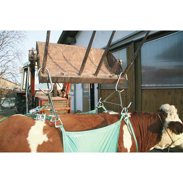 Cow lifting device