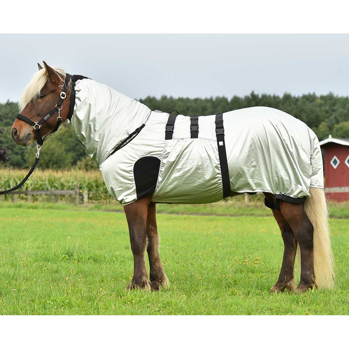 BUSSE Eczema Rug STRONG anthracite 115