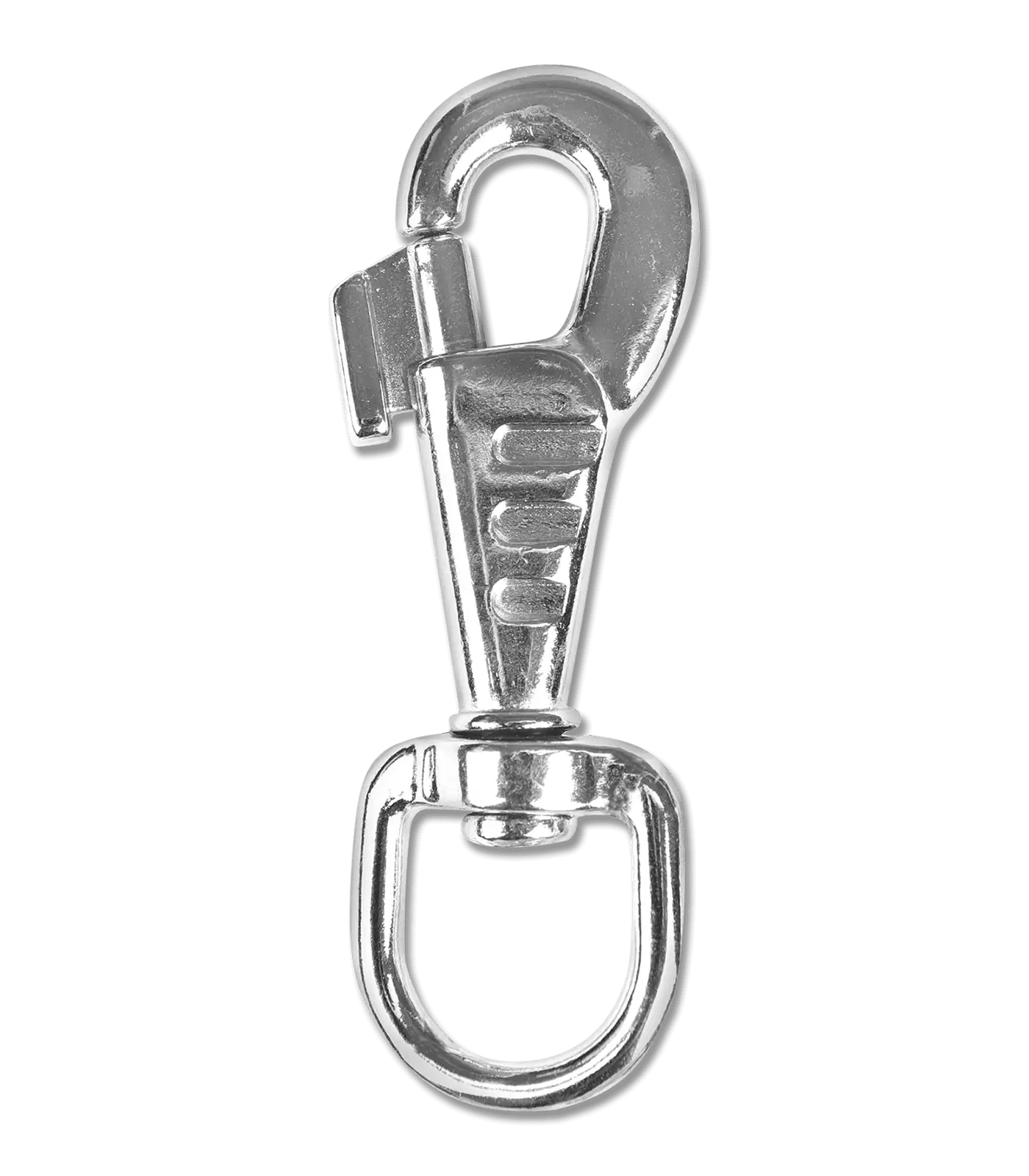 Carabiner for lunge