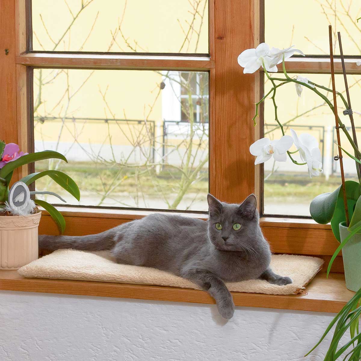Window Cushion for cats, self-warming