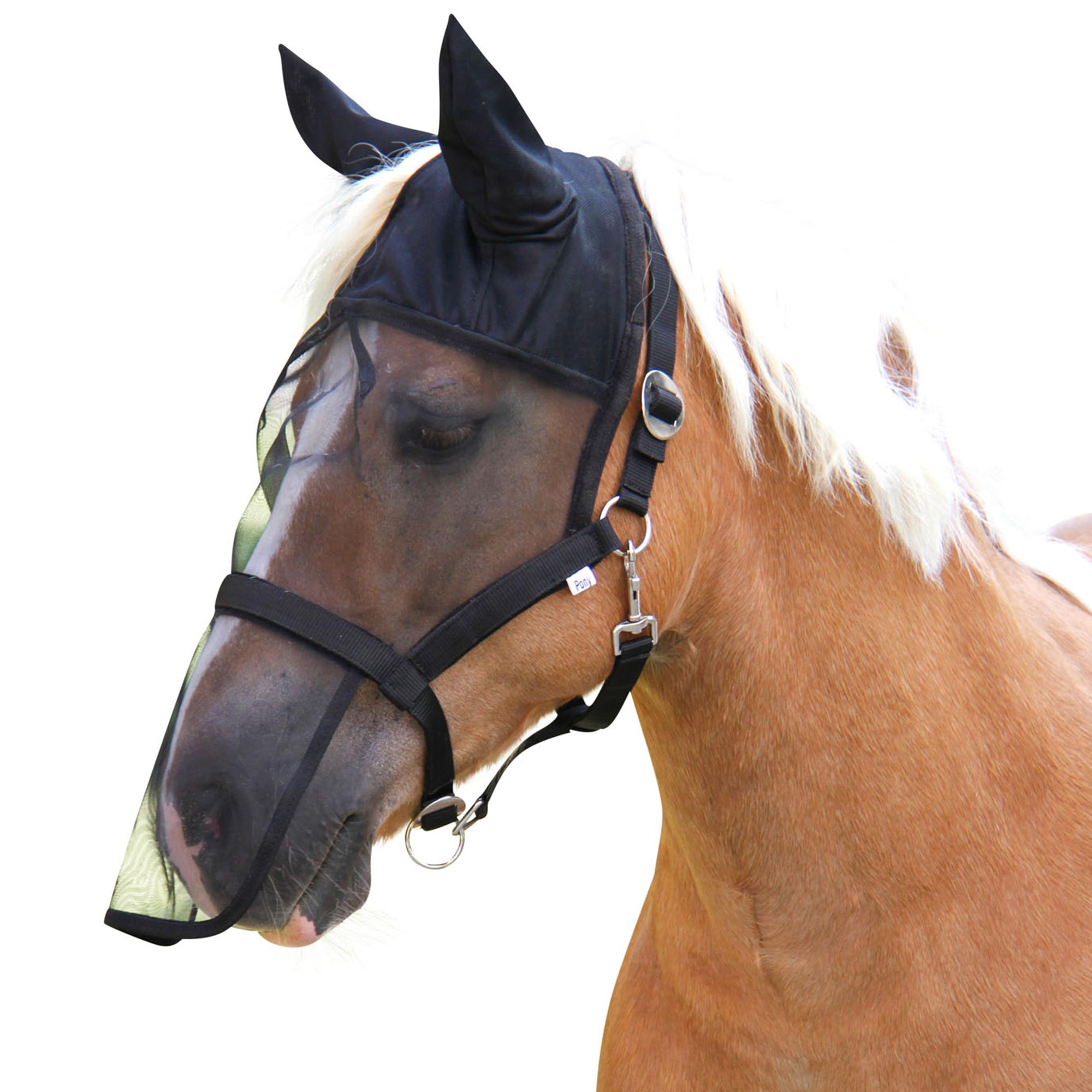 Halter with integrated Fly Mask, Cob full