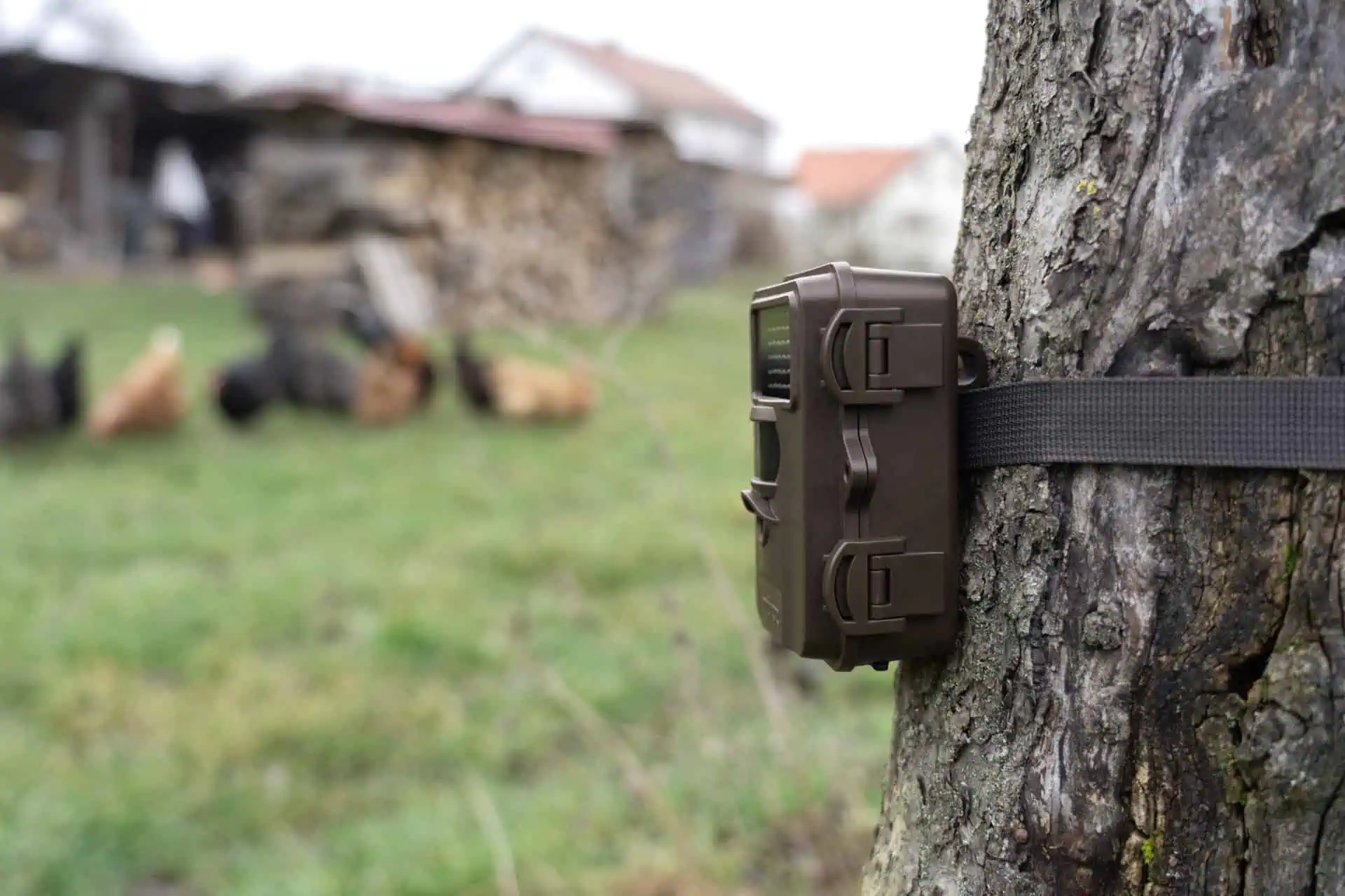 Surveillance camera SnapShot Mini Black 30MP 4K