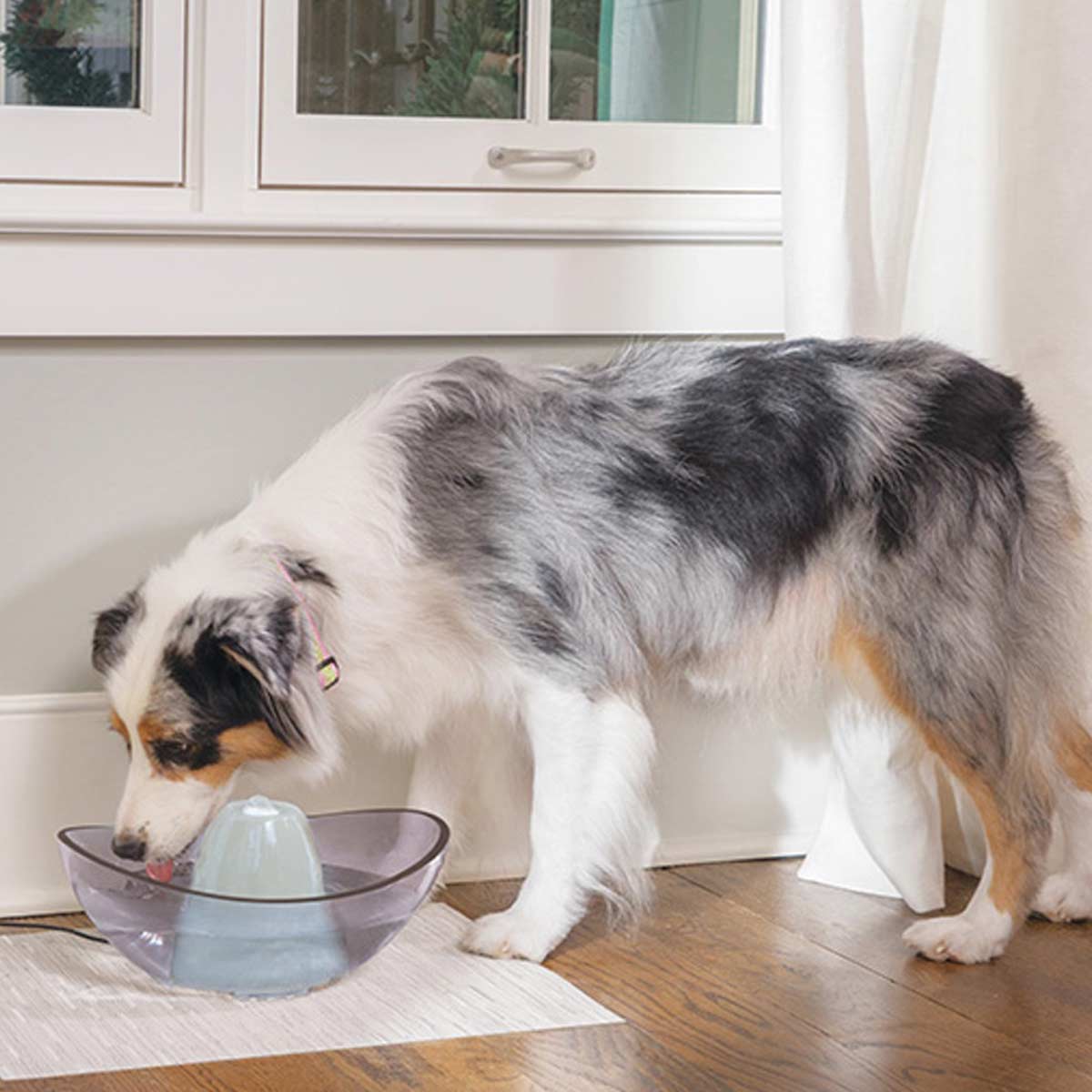 PetSafe Drinkwell Drinking Fountain SEDONA for cats and dogs