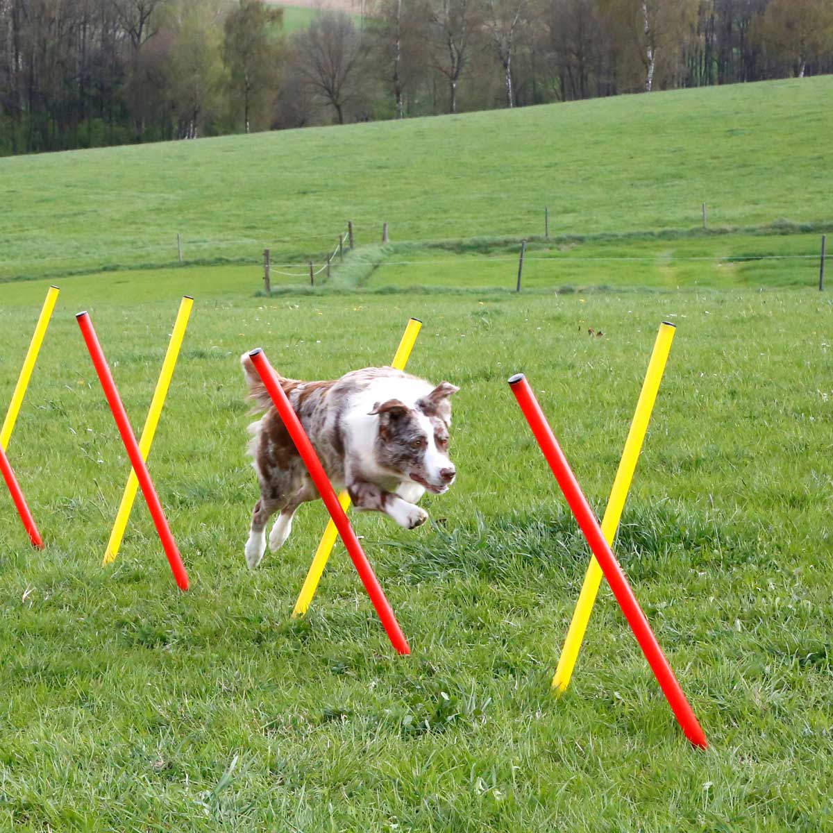 Agility complete set 3 parts, red/yellow