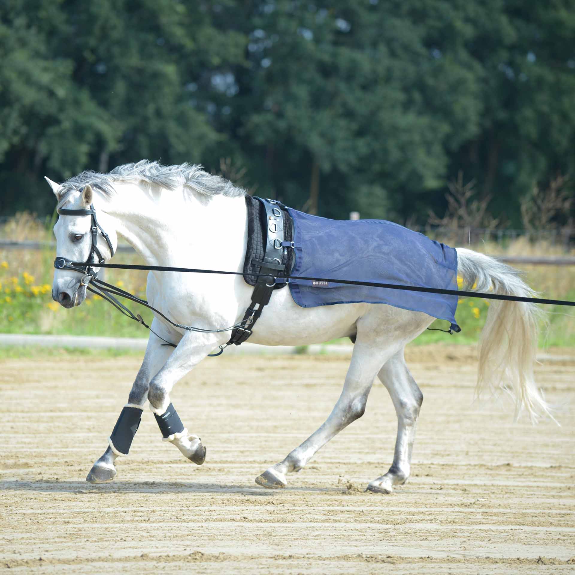 BUSSE Lunging Sheet FLY 135 navy