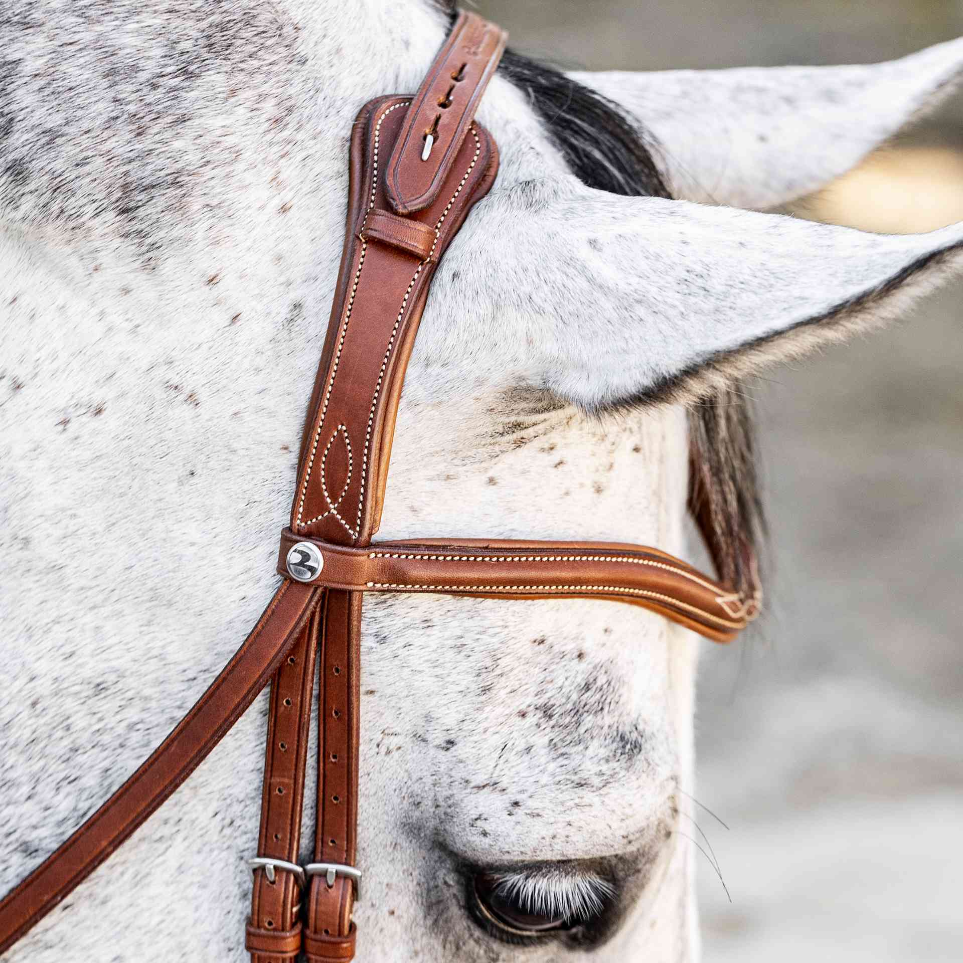 BUSSE Bridle TAKE-OFF LINE AD COB black