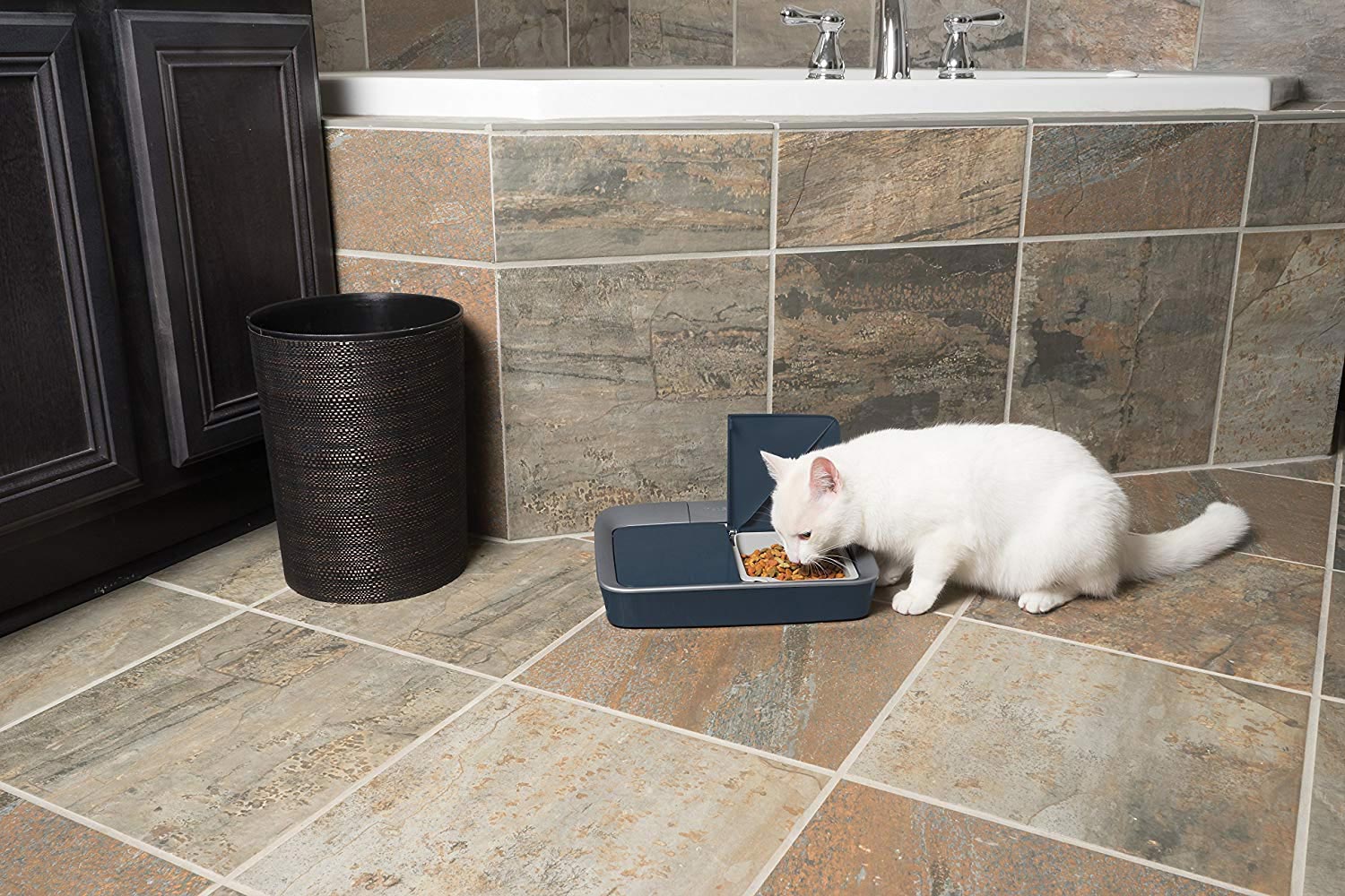 PetSafe dry food cat/dog feeder