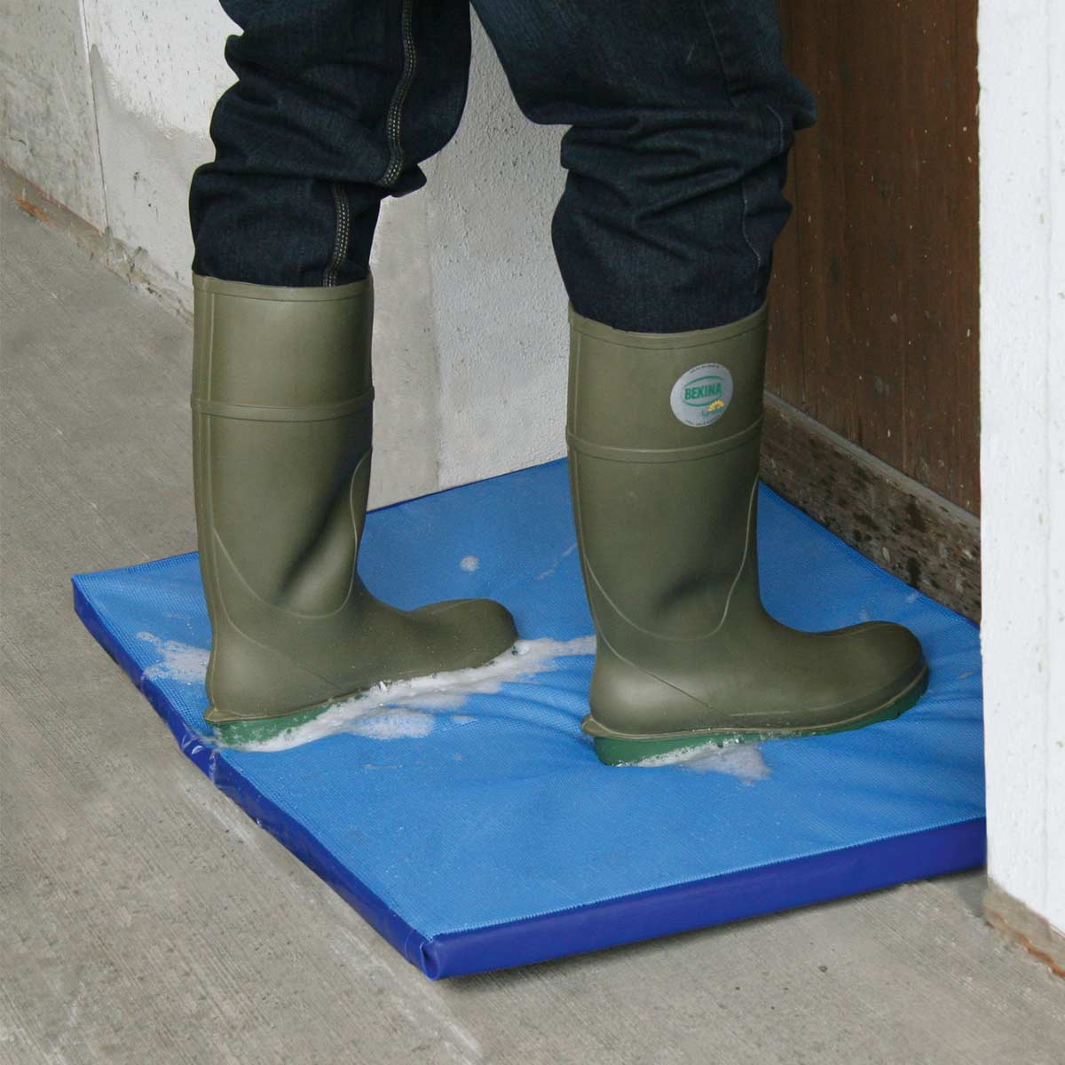 Disinfection mat for shoes 55 x 45 cm