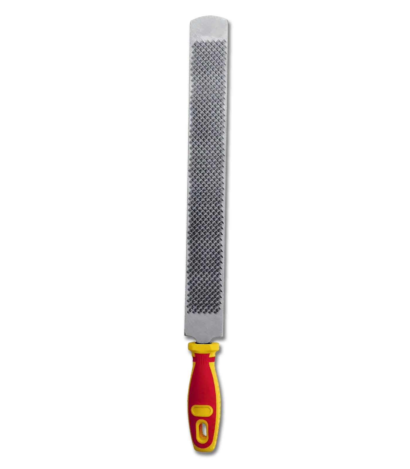 Hoof Rasp with handle