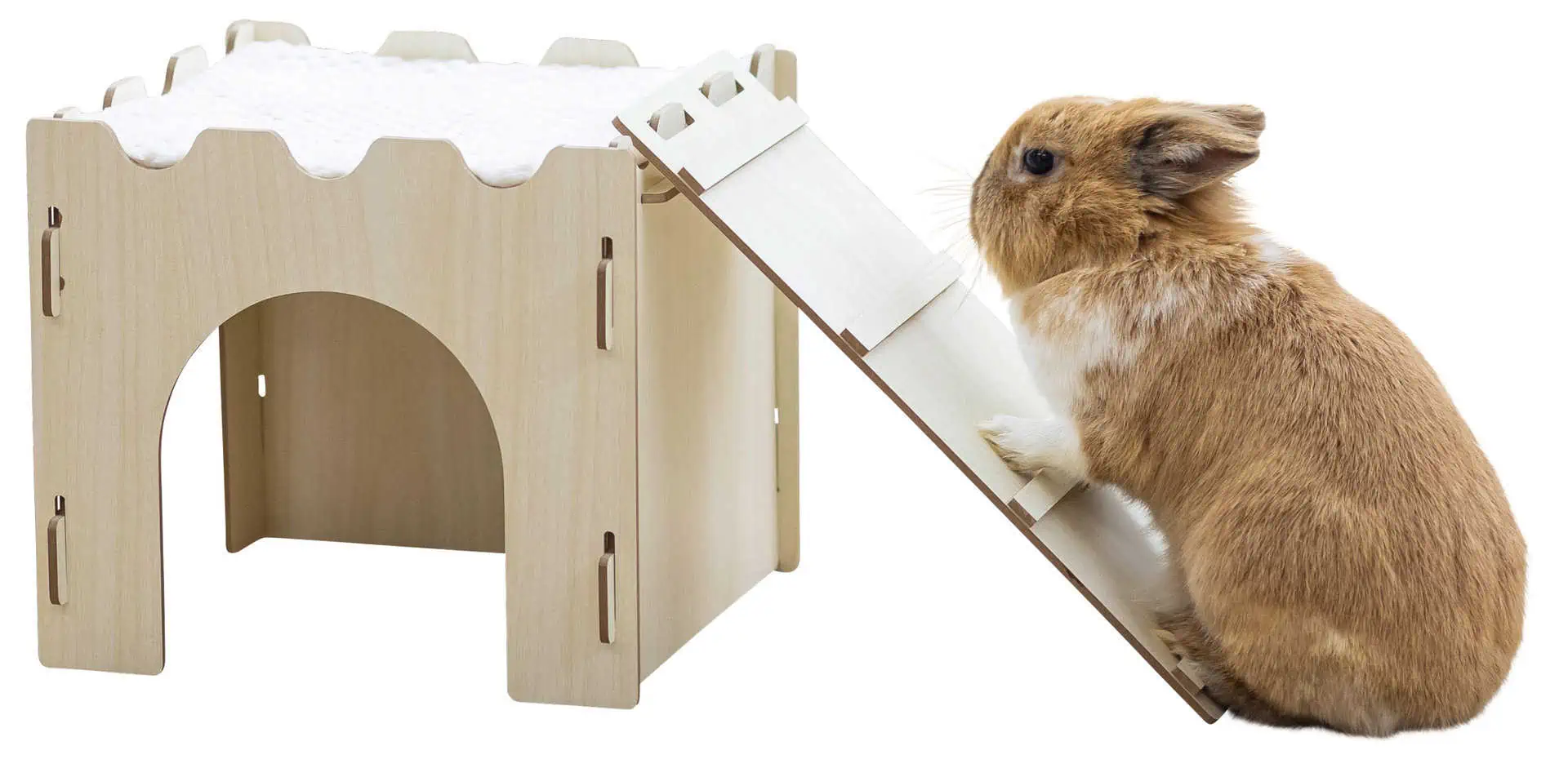 Rodent Castle 28 x 28 x 25 cm with Ladder & Cushion