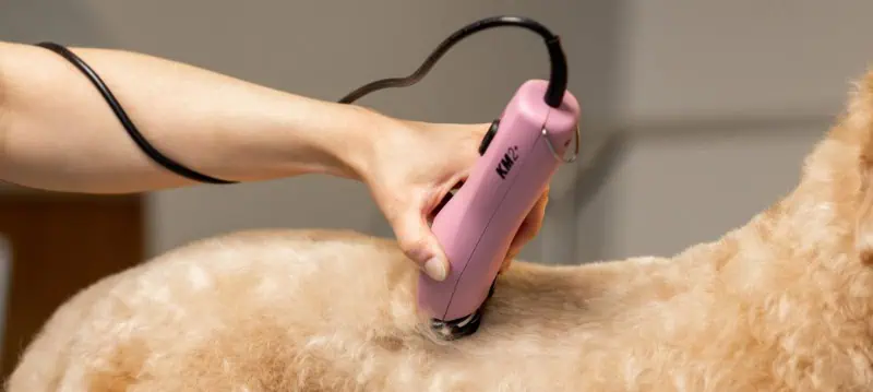 Dog Clipper With Cable