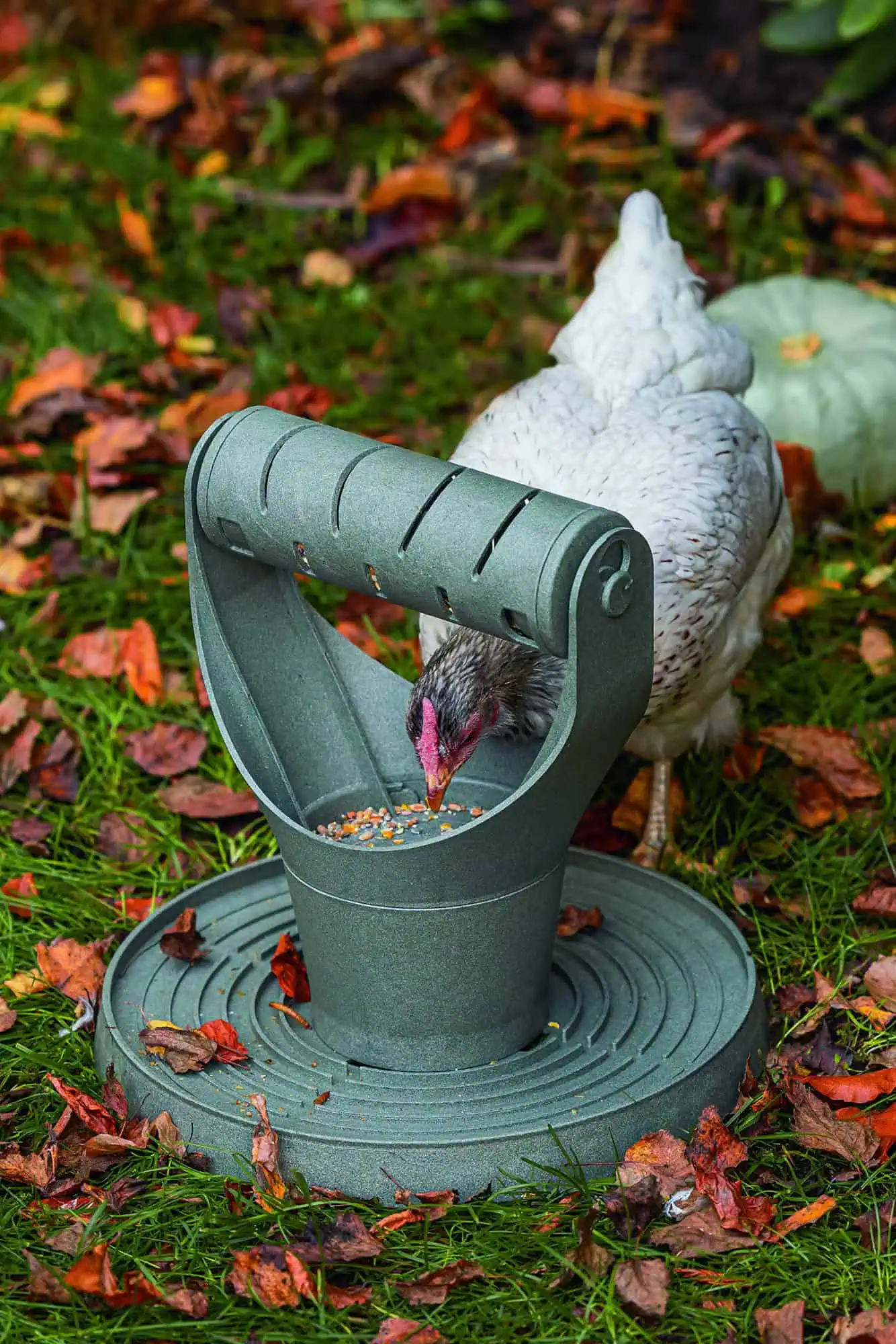 Beeztees Chicken Play- and Snack Tower