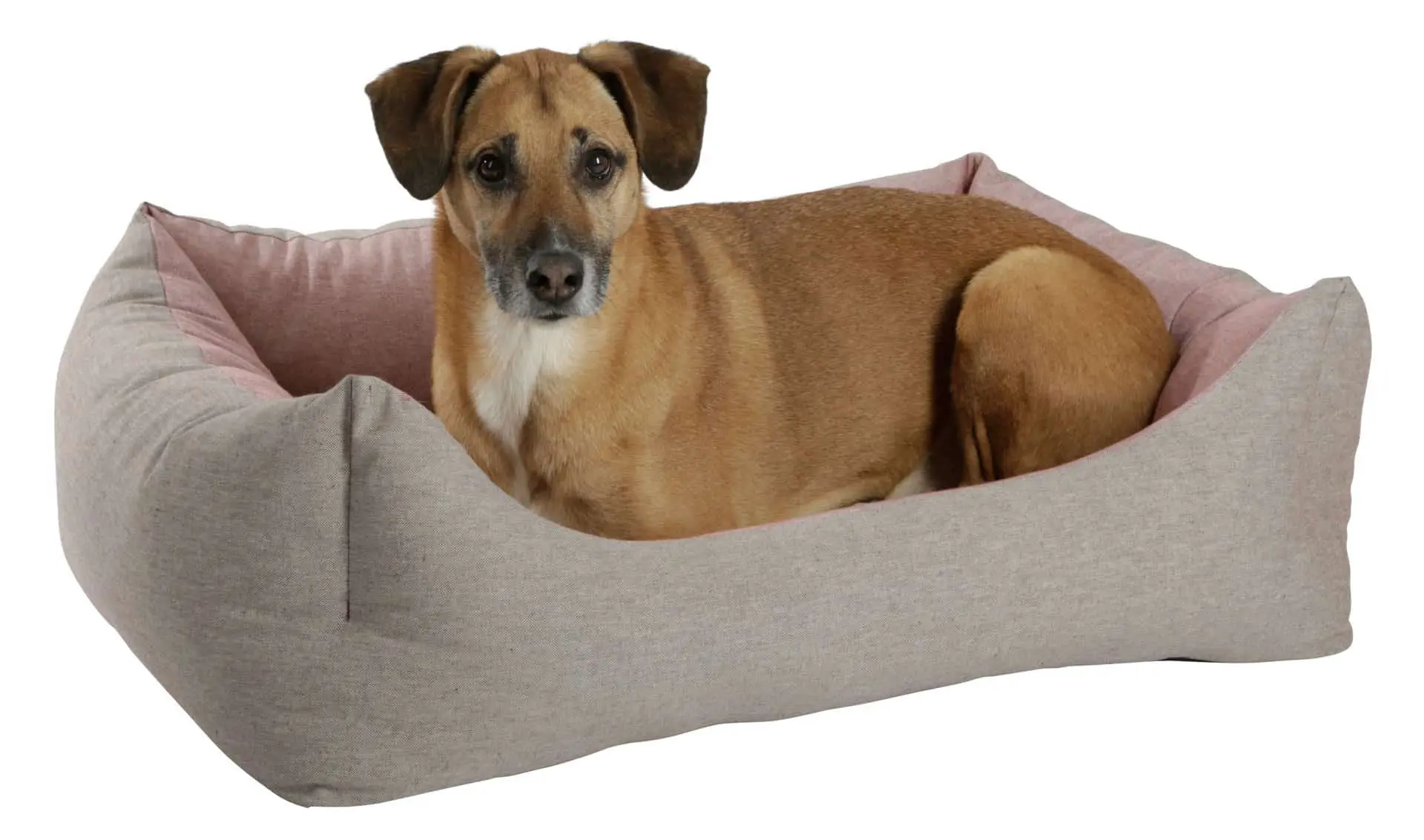 Snuggle Bed Golden 45x60 cm, red/brown