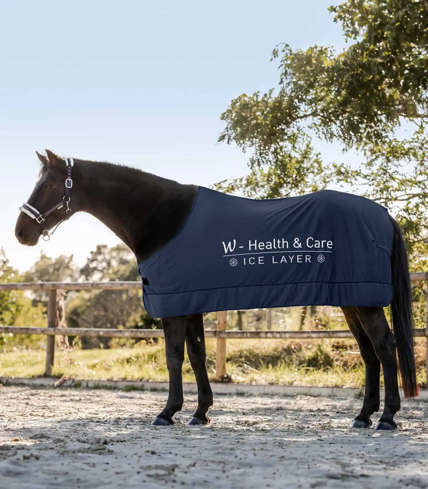 W-Health & Care Ice layer rug night blue 115